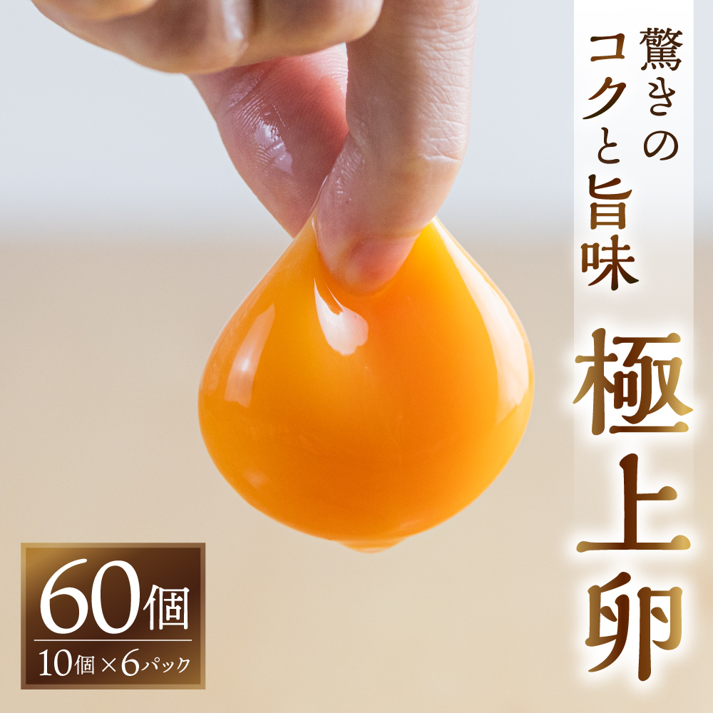 楽天市場】【ふるさと納税】＼高評価☆5／ 感動 極上卵 60 個 割れ保証