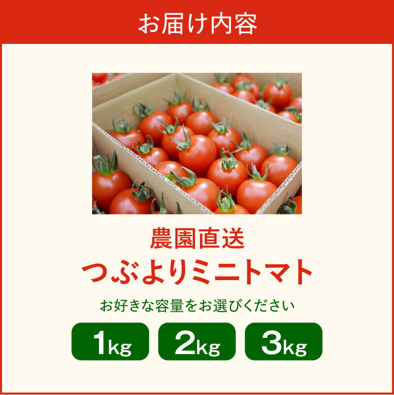 楽天市場】【ふるさと納税】農園直送 つぶより ミニトマト【選べる内容