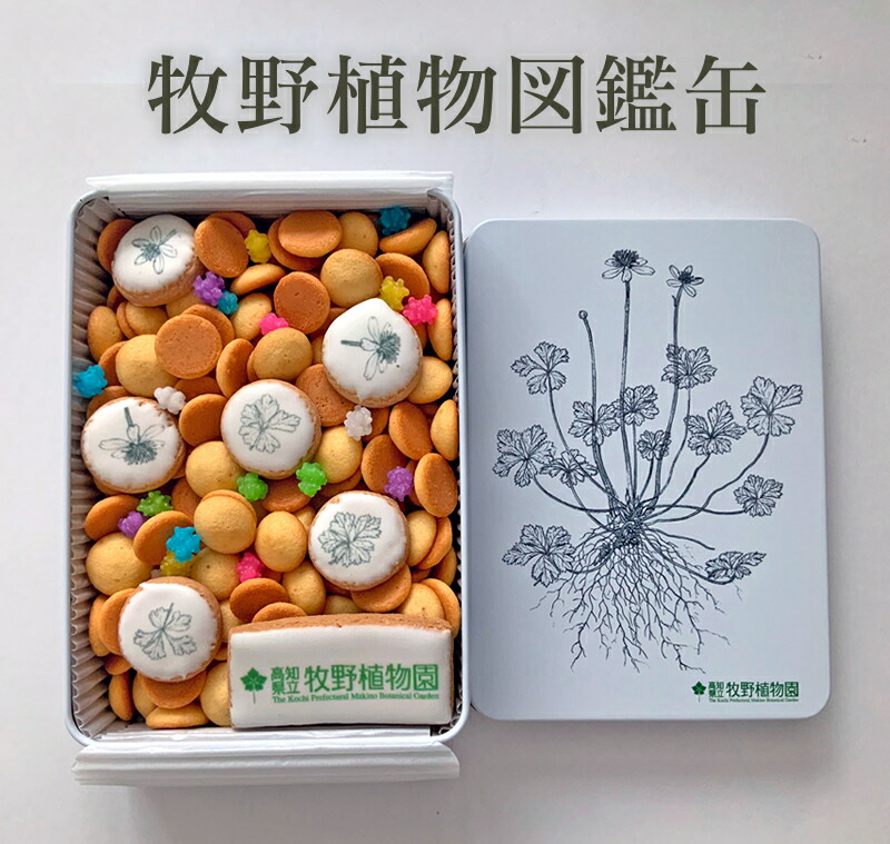 楽天市場】【ふるさと納税】牧野植物図鑑缶 クッキー缶 牧野植物園