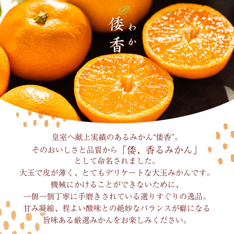 楽天市場】【ふるさと納税】【数量限定】土佐乃かなや マルチ 献上