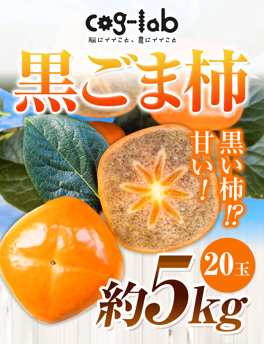 楽天市場】【ふるさと納税】黒ごま柿 約5kg(20玉) Cog-Lab《10月上旬