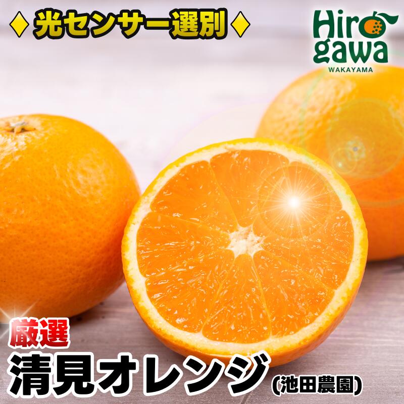 楽天市場】【ふるさと納税】 清見 オレンジ 厳選 光センサー / 清見