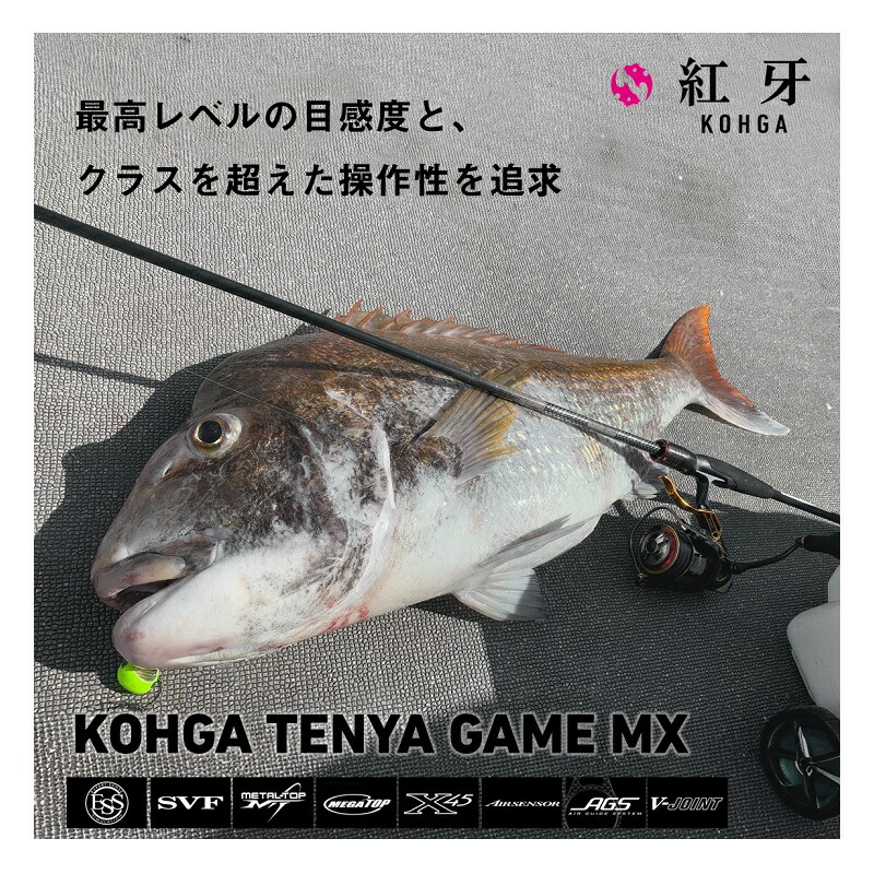 楽天市場】ダイワ 紅牙テンヤゲームMX H-225MTB・J / 船 ひとつテンヤ