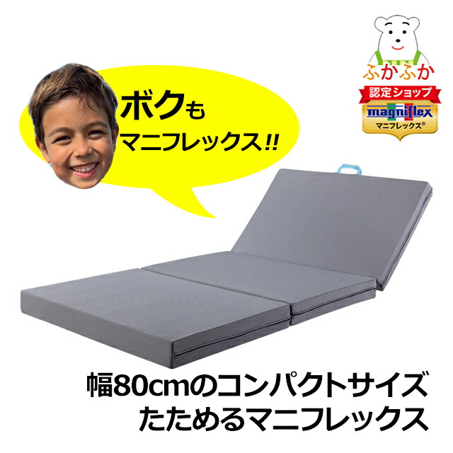 楽天市場】【ただいまP5倍】サステナブルウィング セミシングル 三