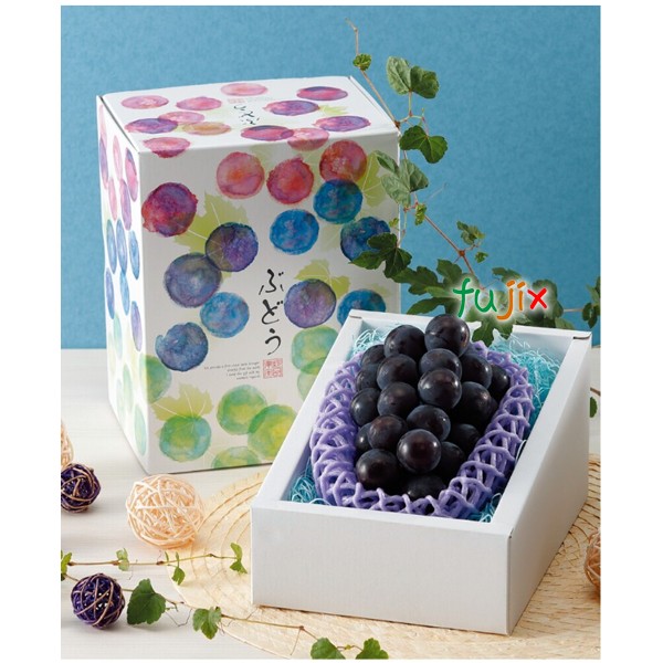楽天市場】【ポイント5倍 要エントリー】ぶどう 化粧箱 L-2485 彩り