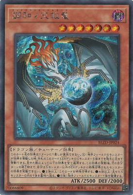 楽天市場】調和ノ天救竜の通販