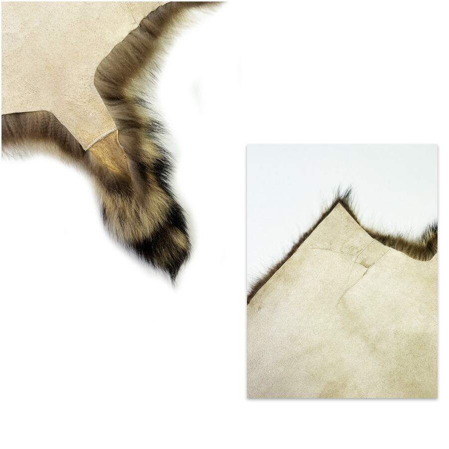 楽天市場】アメリカ産【ラクーン尻あて】毛皮尻尾付きラクーン【送料