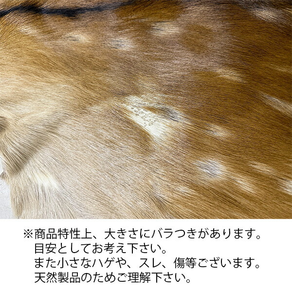 楽天市場】北海道産【鹿毛皮敷物（ラグマット）夏毛】毛付き鹿皮【送料