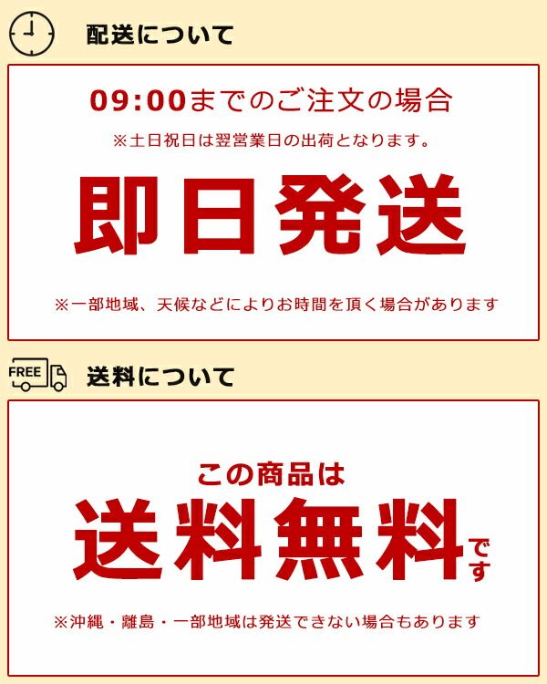楽天市場】ポータブルテレビ 10.1インチ 地デジ録画機能 3電源対応 地
