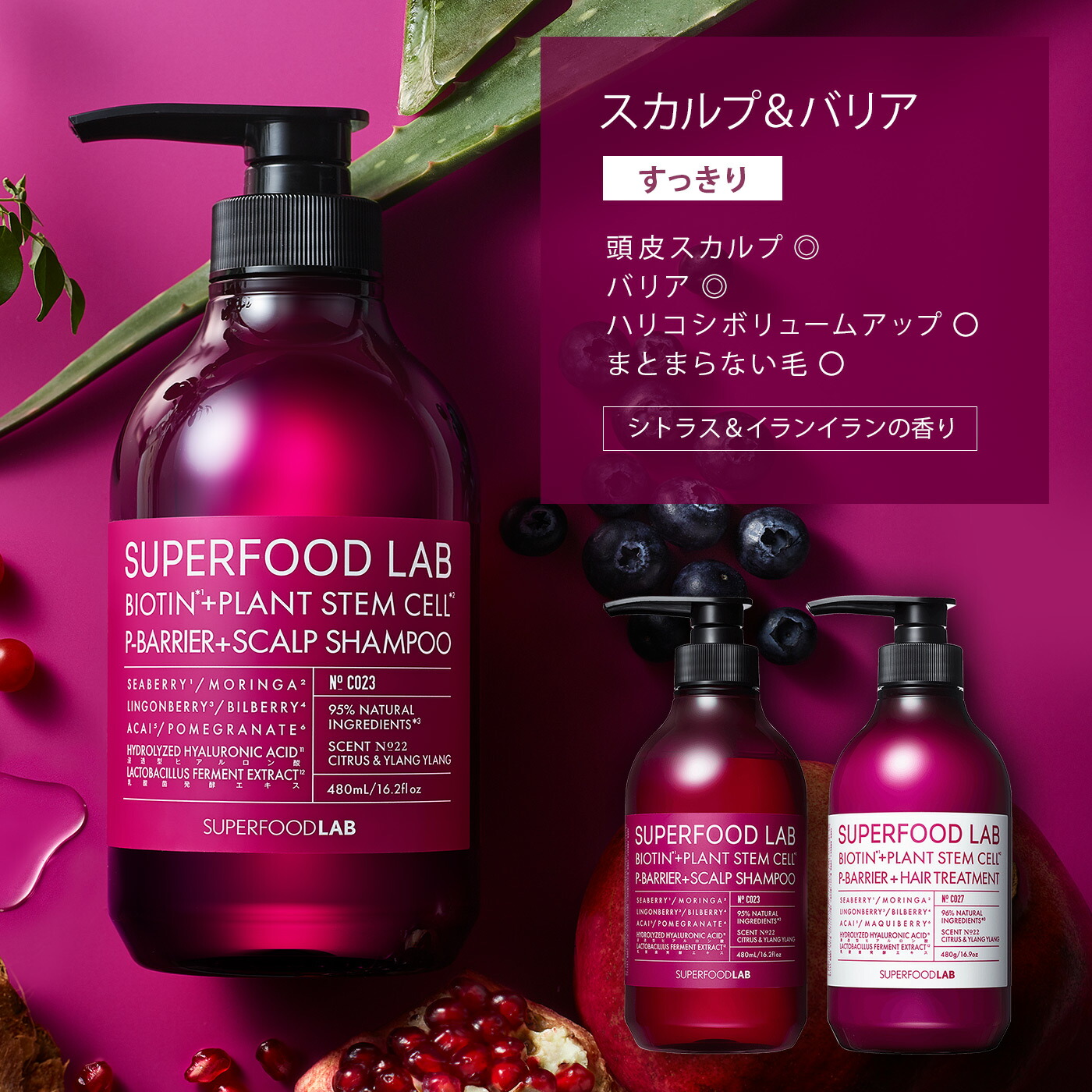 楽天市場】[P5倍11日1:59まで]＼ 20％OFF ／ ｽｰﾊﾟｰSALE 【 送料無料