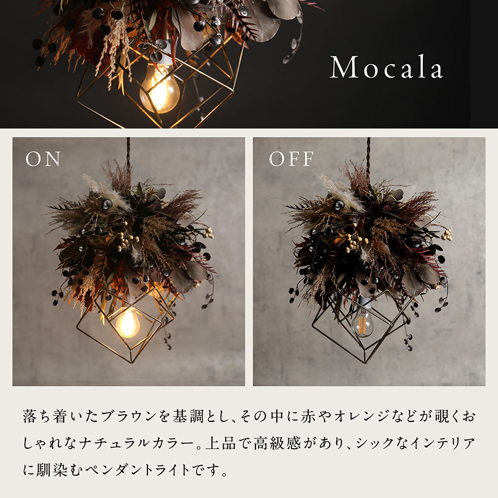 楽天市場】【楽天スーパーSALE限定 41,800円→37,620円】 ドライ