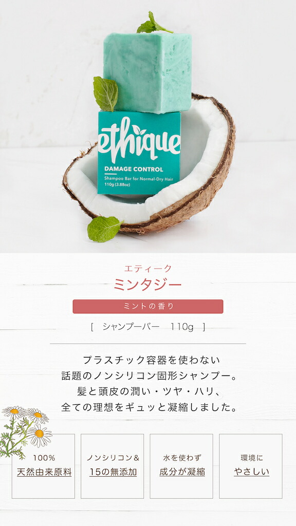 楽天市場】[ 10%OFF｜3/11 1:59まで ] 【公式】エティーク 単品【楽天1