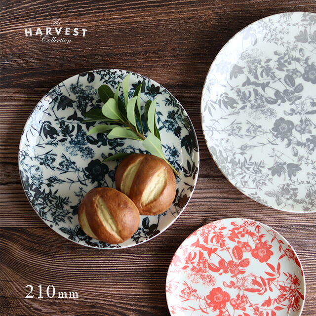 楽天市場】【S20】THE HARVEST ボタニカルプレート 21cm(皿 プレート