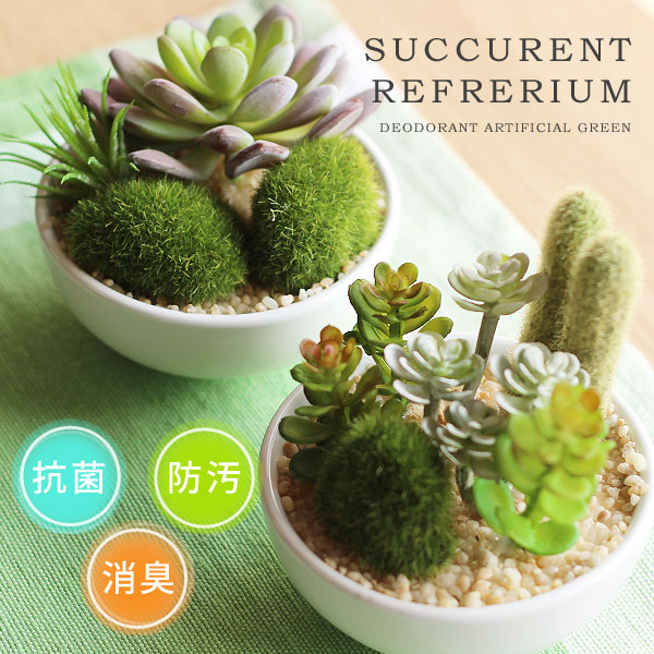 楽天市場】【ポイント10倍】サキュレントリフレリウム 消臭アーティ