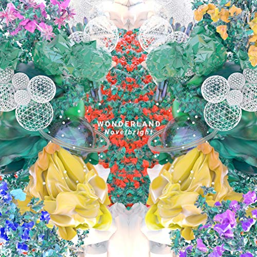 楽天市場】アルバム ノーベルブライトの通販