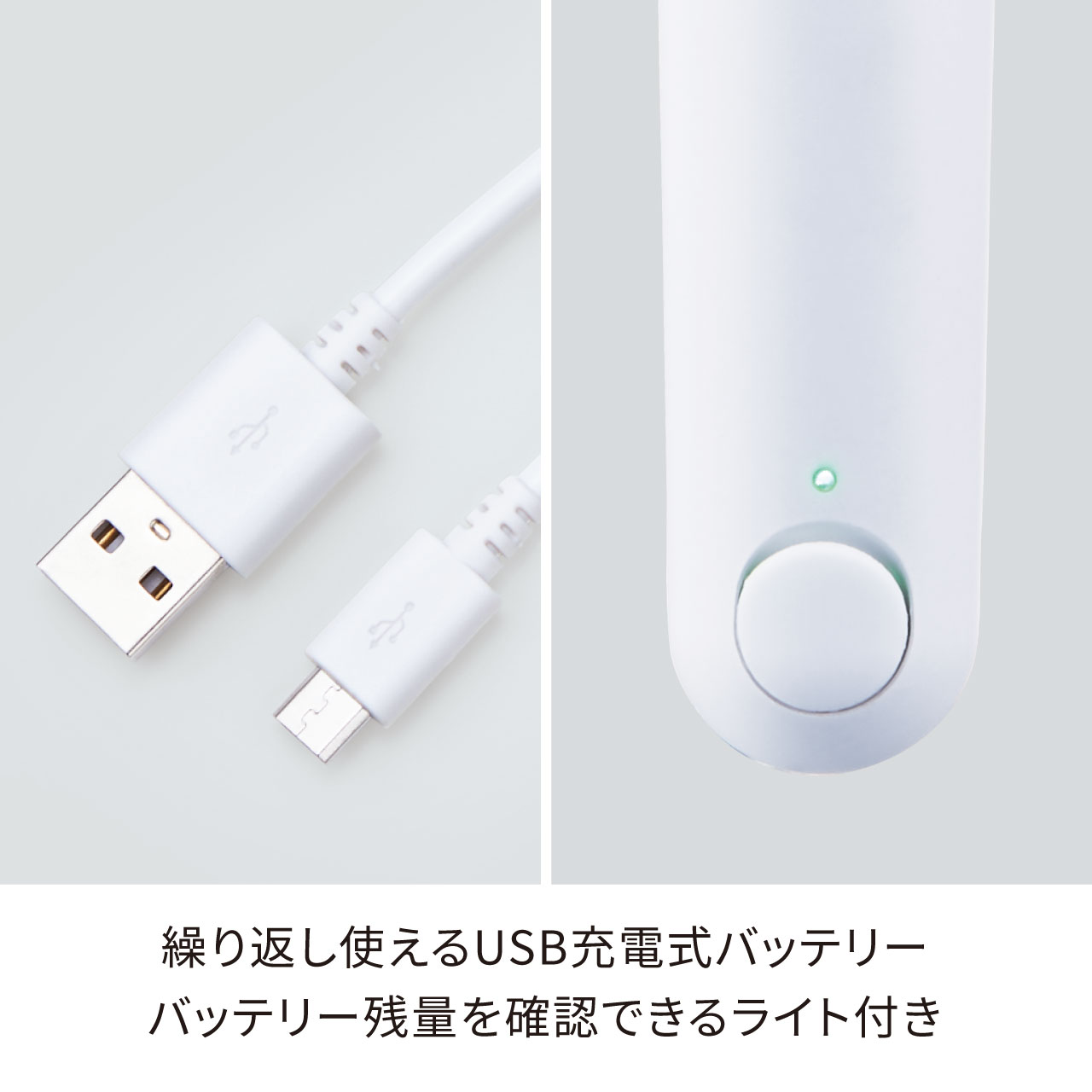 楽天市場】【期間中最大P10倍】【公式】 FESTINO フェイシャル スキン