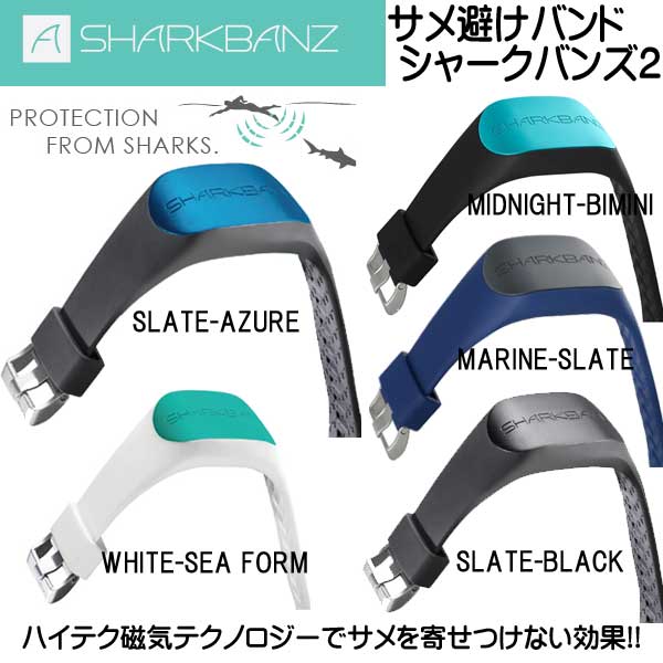 sharkbanzz5.jpg