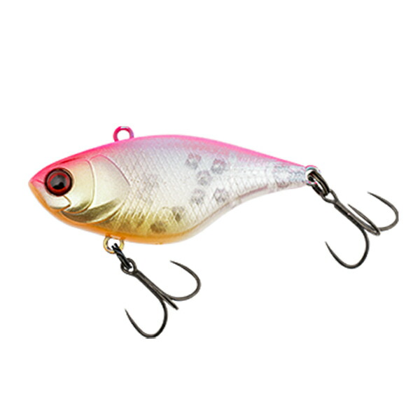 楽天市場】バスポンド（スポーツ・アウトドア）の通販