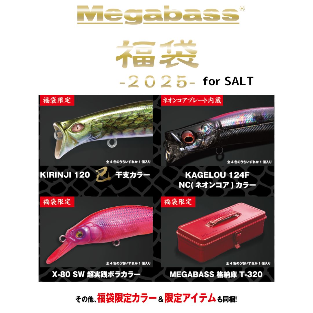 楽天市場】2025年 メガバス福袋 ソルト Megabass（メガバス