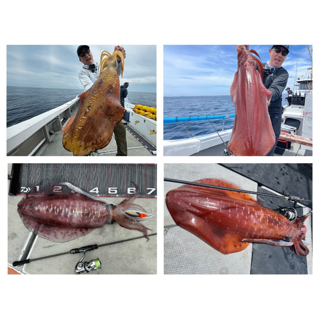 楽天市場】エメラルダス ストイスト ST（アウトガイドモデル） 85LML