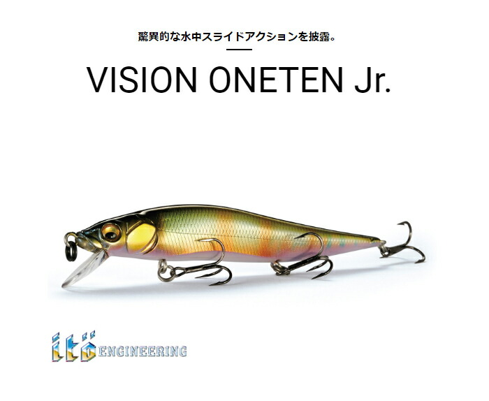 楽天市場】【2025年限定色追加】メガバス(Megabass) ビジョンワンテン