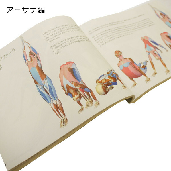 楽天市場】「図解YOGAアナトミー アーサナ編」 [UTL アンダーザライト