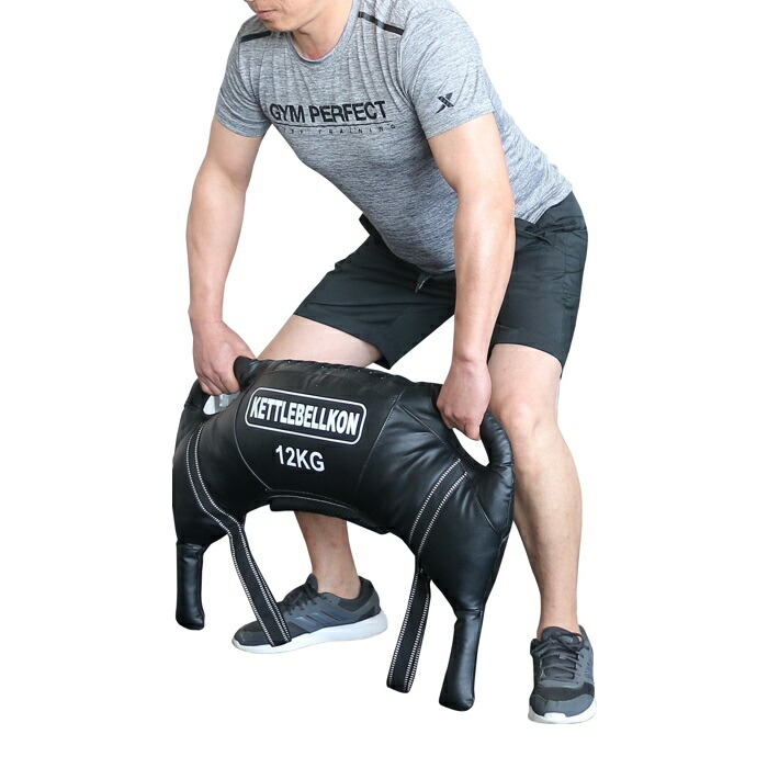 楽天市場】ブルガリアンサンドバッグ Xタイプ 8kg 12kg 16kg 20kg