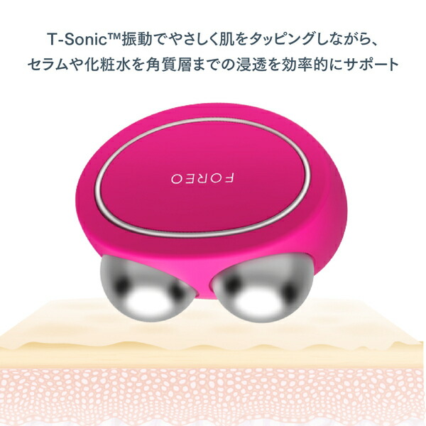 楽天市場】【30% オフ】BEAR 2 body ラベンダー エバーグリーン ベア