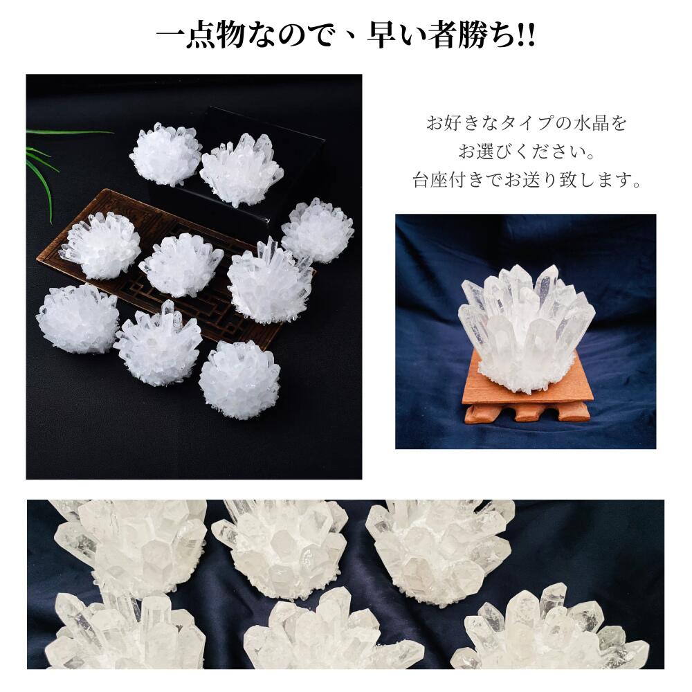 楽天市場】＼超トク開催中!最大20%OFFクーポン／ 【再入荷・早い者勝ち