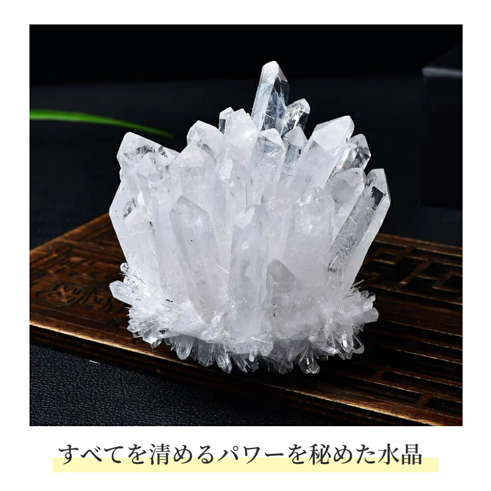 楽天市場】＼超トク開催中!最大20%OFFクーポン／ 【再入荷・早い者勝ち