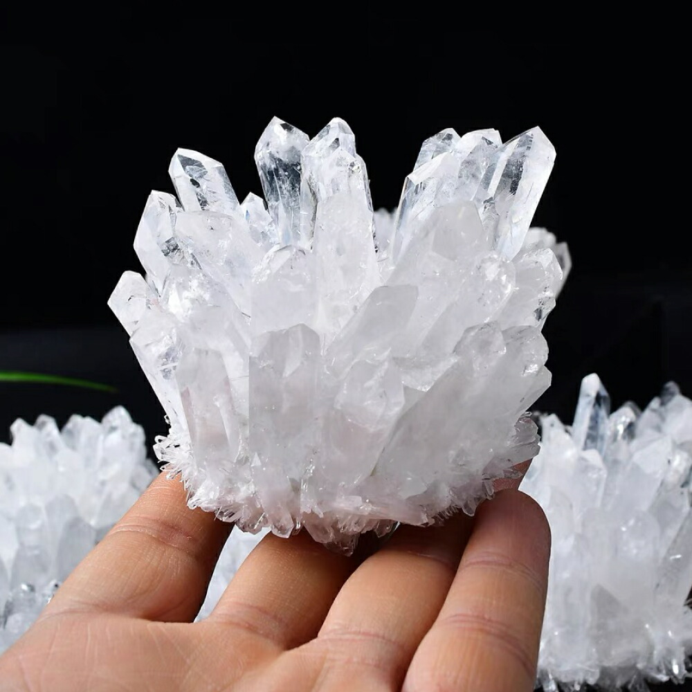 楽天市場】＼超トク開催中!最大20%OFFクーポン／ 【再入荷・早い者勝ち