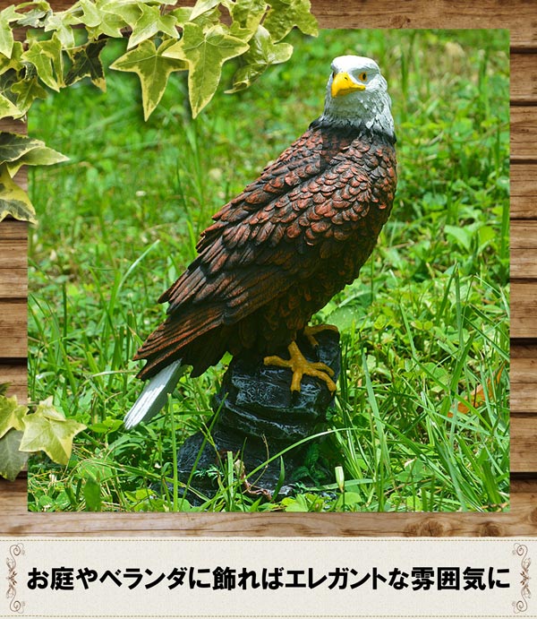 楽天市場】【楽天SS対象商品10％OFF】 お得なクーポン配布中 送料無料