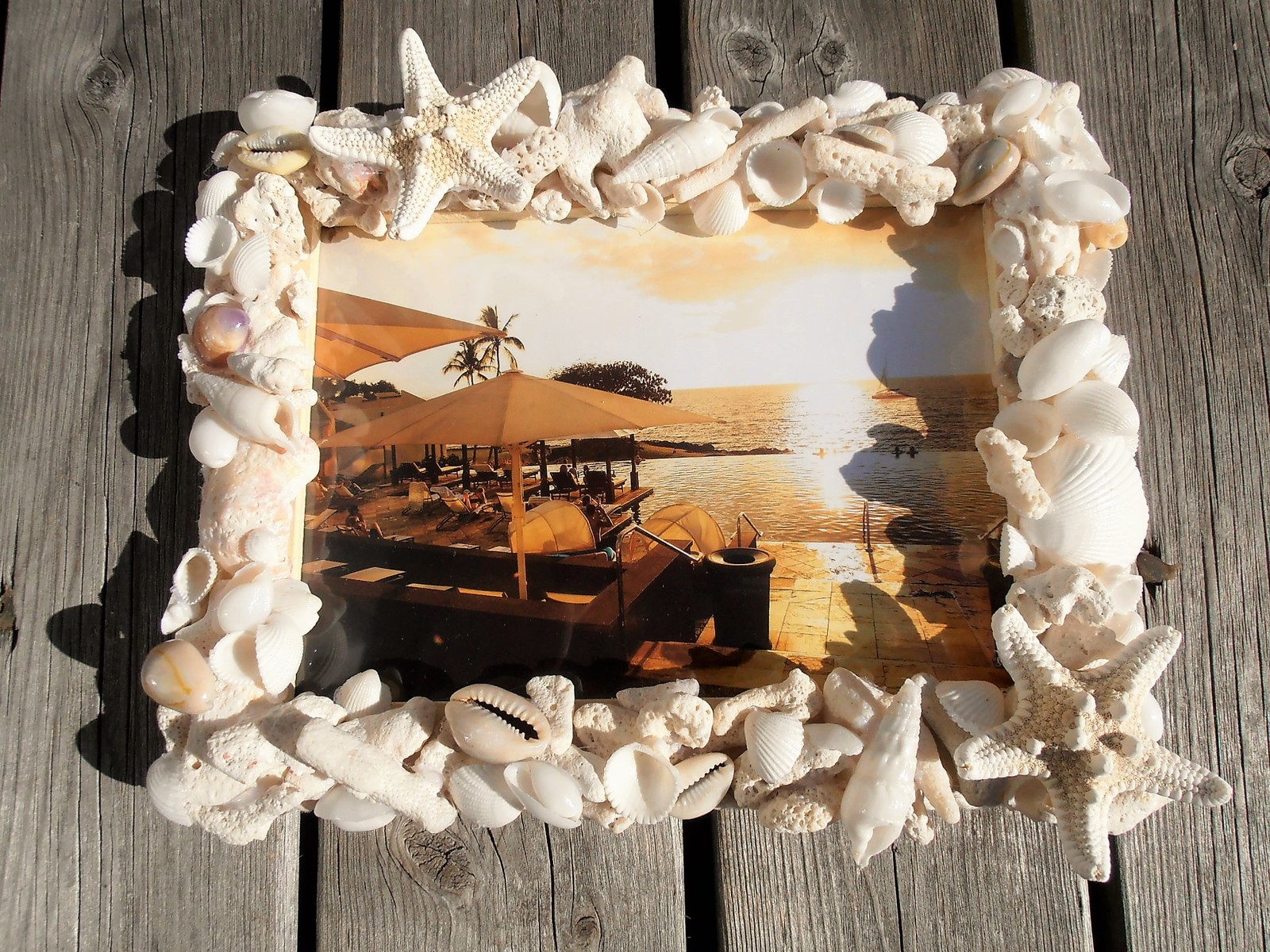 楽天市場】Mermaid jewelry シェル フォトフレーム 白い貝殻 リゾート