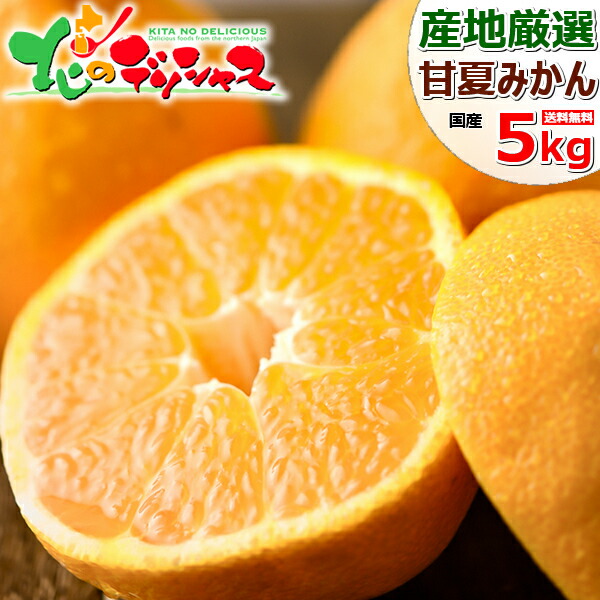 楽天市場】【出荷間近】 産地厳選 国産 甘夏 (秀品/常温便) 柑橘