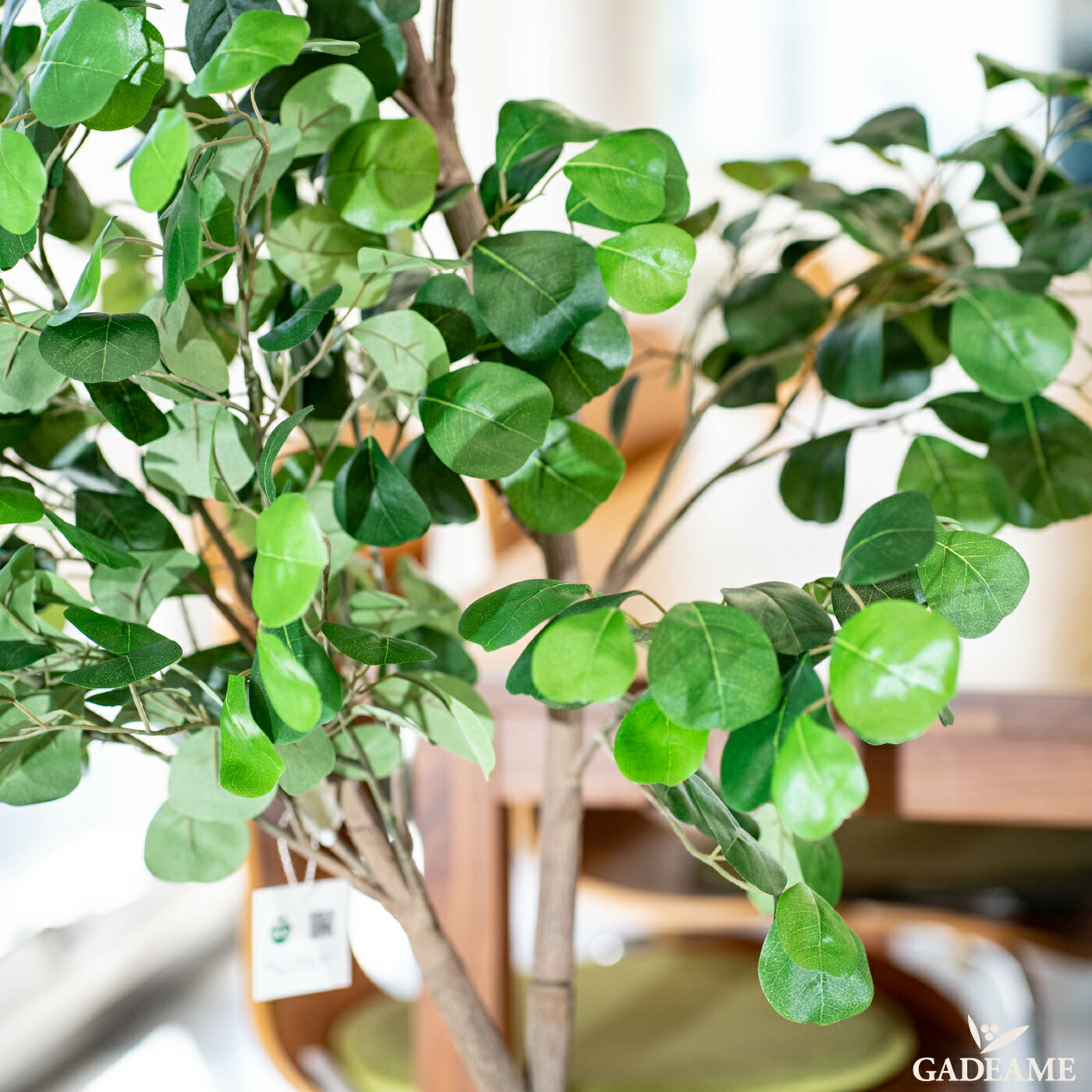 楽天市場】トライアンギュラス フェイクグリーン planeco H160cm KERN