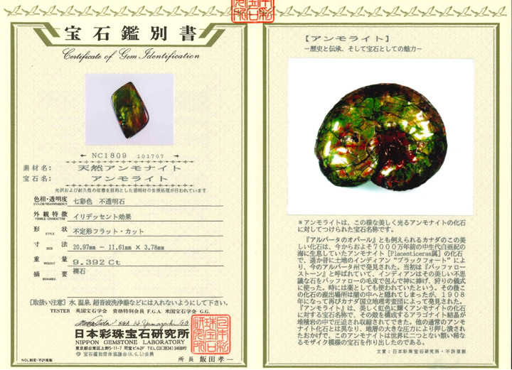 楽天市場】9.392ct特大サイズアンモライトルース ファイナルグレード++