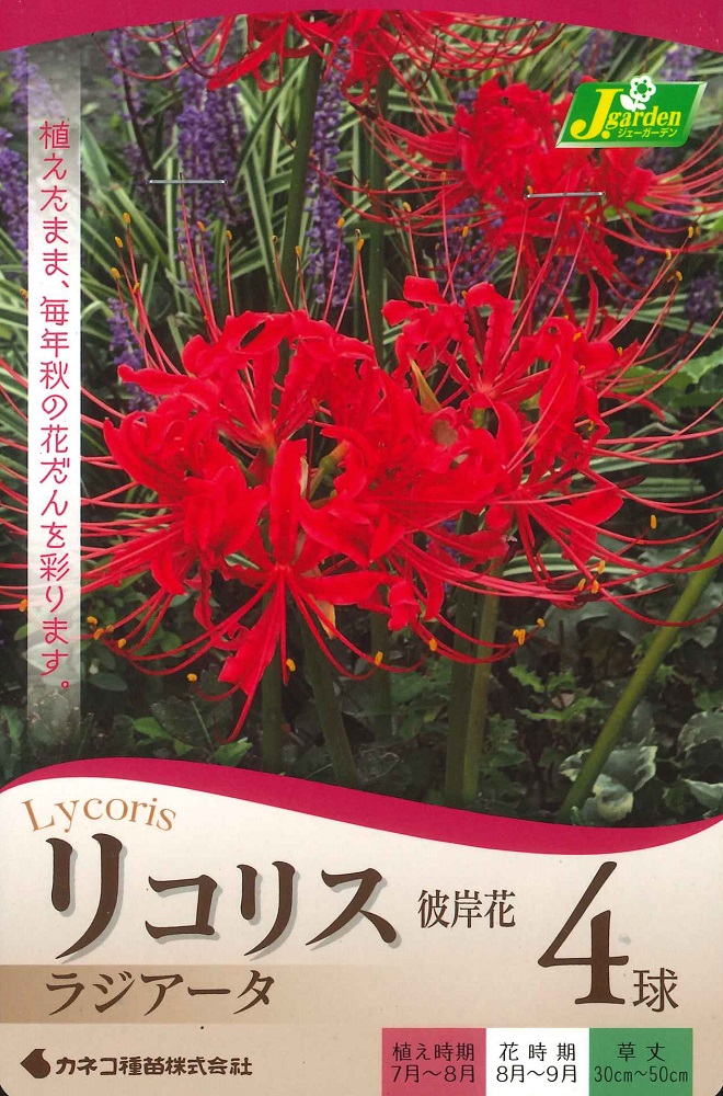 楽天市場】ジブリガーデニングプランター ハウルの動く城 城の高原