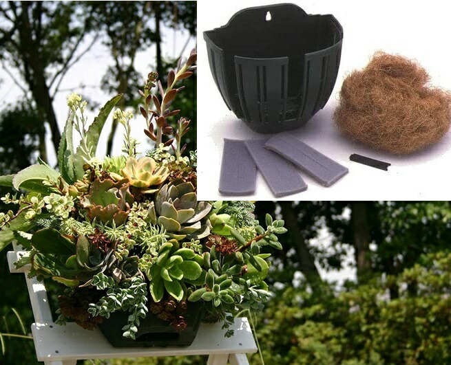 楽天市場】伊藤商事 プチバスケット WB-25 ～ハンギングバスケット