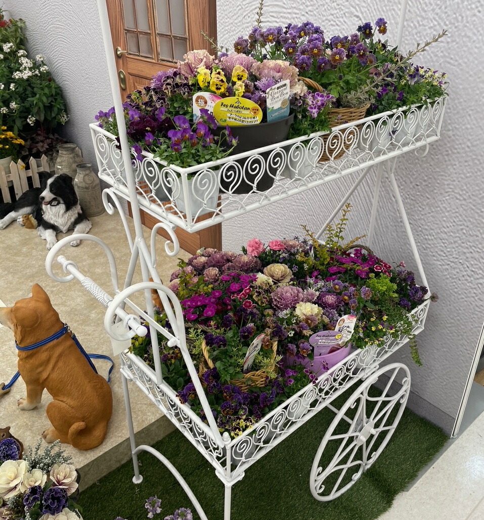 楽天市場】【個人宅様へ発送可能】 フラワーカートKFK01-01※押し車型花