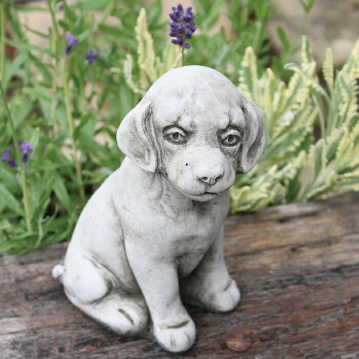 楽天市場】【SS限定☆エントリーで＋P10倍＆MAX15％OFFクーポン