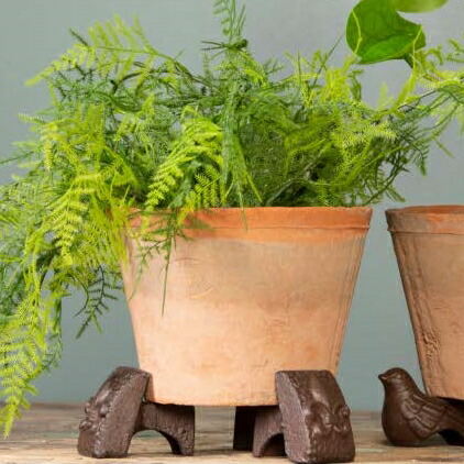 楽天市場】【SS限定☆エントリーで＋P10倍＆MAX15％OFFクーポン