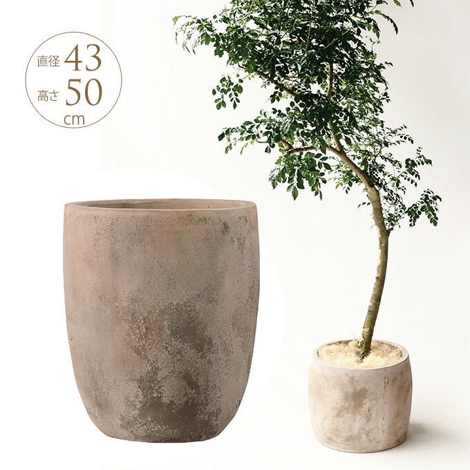 楽天市場】大型 鉢 プランター テラコッタ アルトエッグ 直径43cm