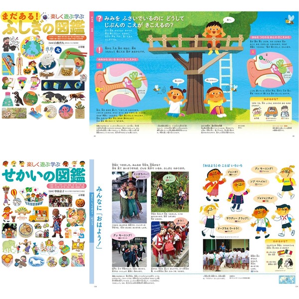 しんばさま専用】 じぶんでよめる ずかん / プレNEO /NEO 11冊 プレNEO