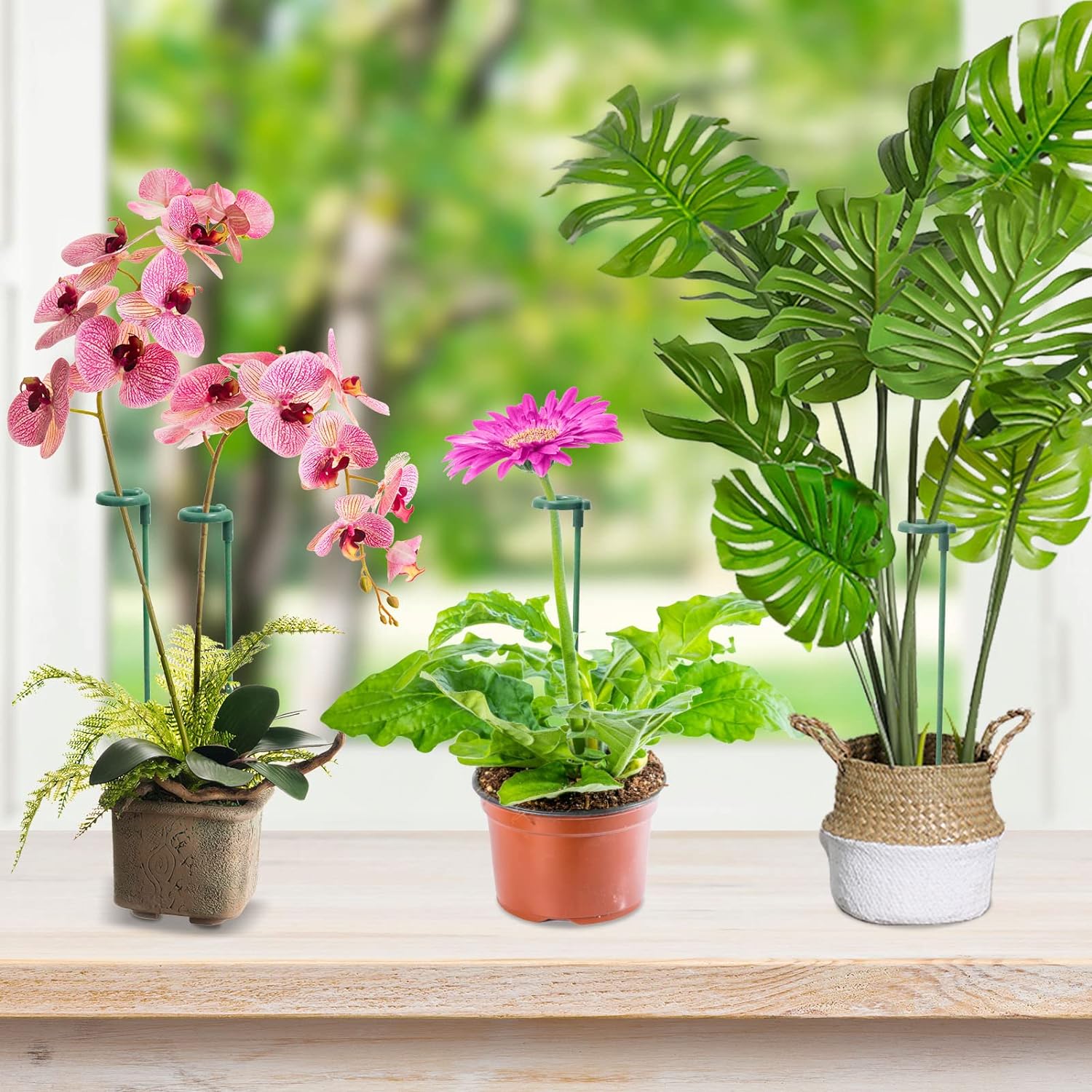 楽天市場】花支え 植物支柱 花ささえ 園芸支柱 50本セット 支柱棚