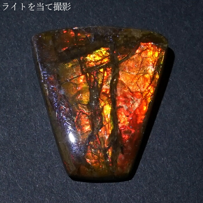 楽天市場】アンモライト ルース 3.2g カナダ産 Ammolite 一点物