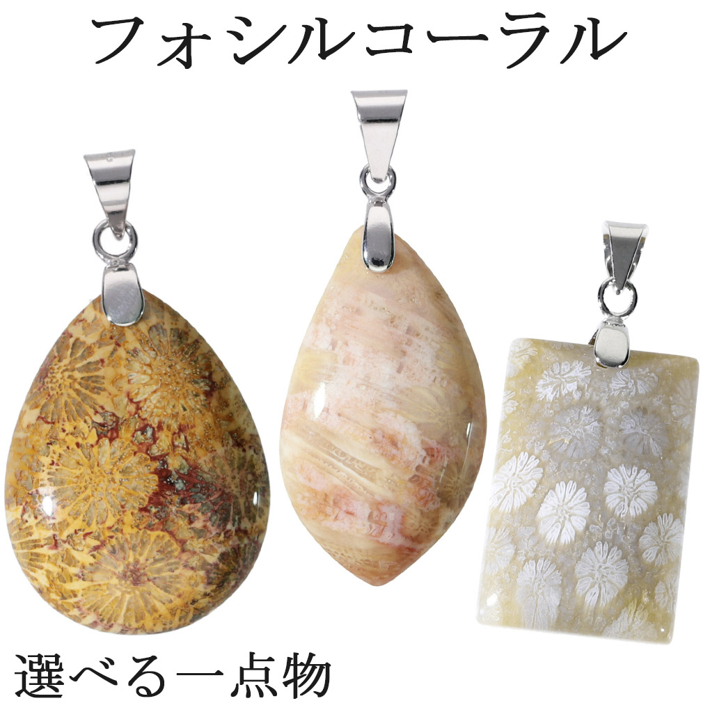 楽天市場】フォシルコーラル シルバー ペンダントトップ 数量限定
