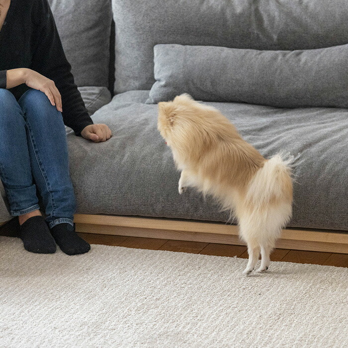 楽天市場】＼ペット割で最大P7／ Fumi フミ ロータイプ脚 無駄のない