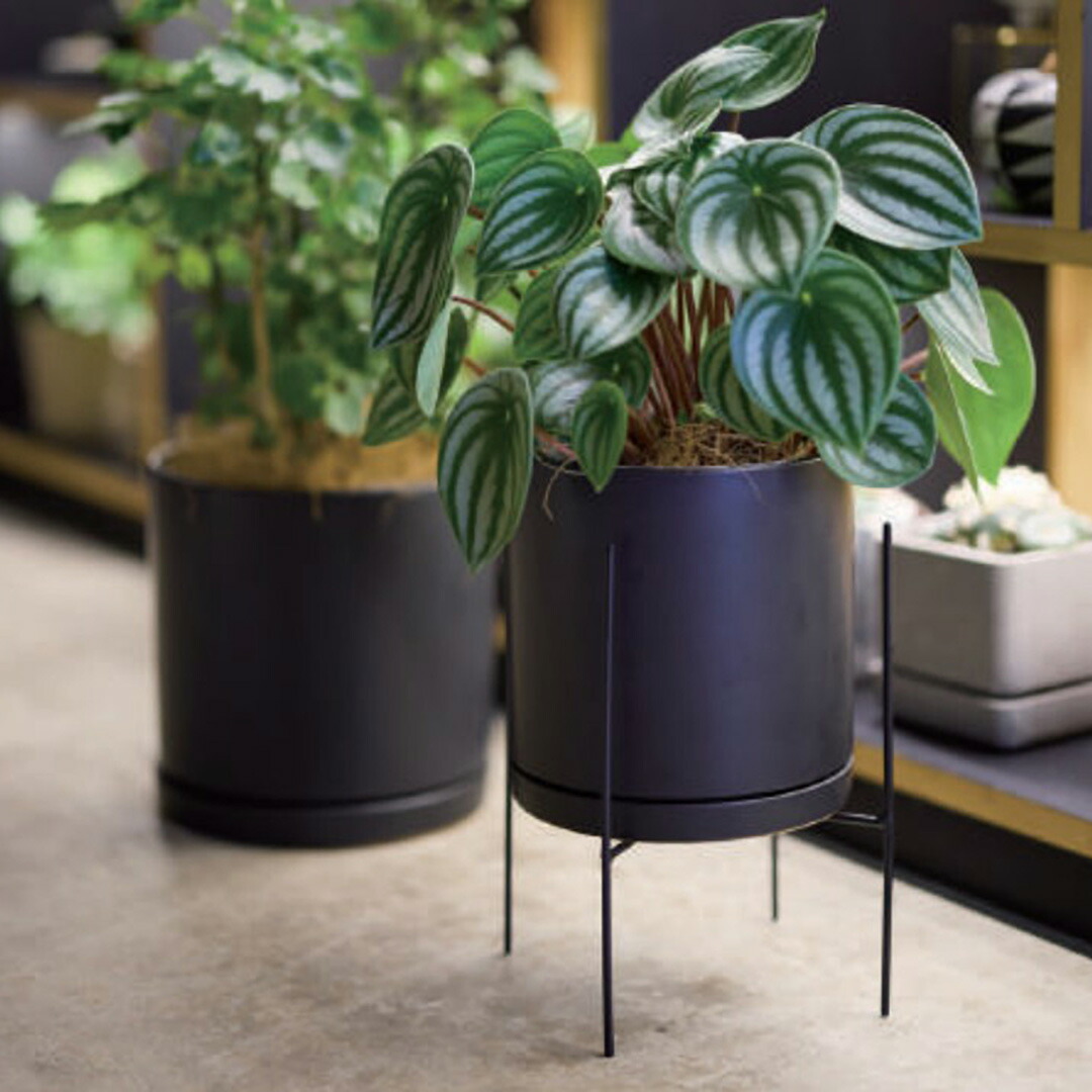 楽天市場】園芸 観葉植物 植木鉢用 ブラック 鉢スタンド アイアン