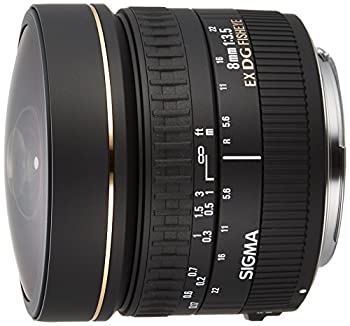 楽天市場】SIGMA 8mm F3．5 EX DG CIRCULAR FISHEYEの通販
