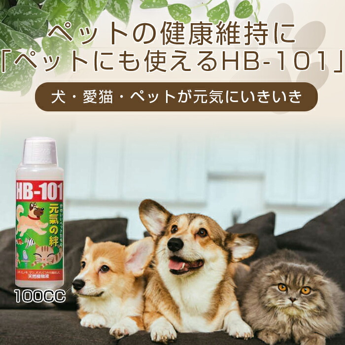 hb-101 100cc」の人気商品一覧 | 安い商品を通販サイトから探す - 価格.com